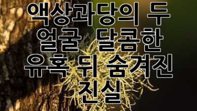 액상과당의 두 얼굴 🧐: 달콤한 유혹 뒤 숨겨진 진실!