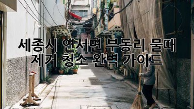세종시 연서면 부동리 물때 제거 청소 완벽 가이드